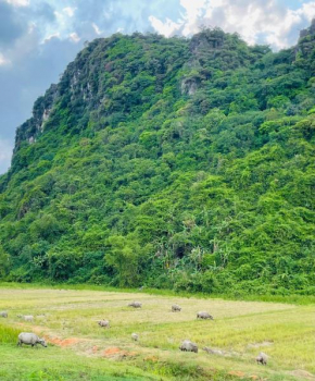 Hieu-Homestay